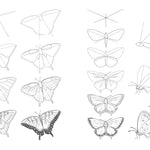 Draw Like An Artist: 100 Birds, Butterflies, & Other Insects - Washburn. Melissa 9781631599477_4_f233a65d-2a14-4b12-8c46-5bd36876009d