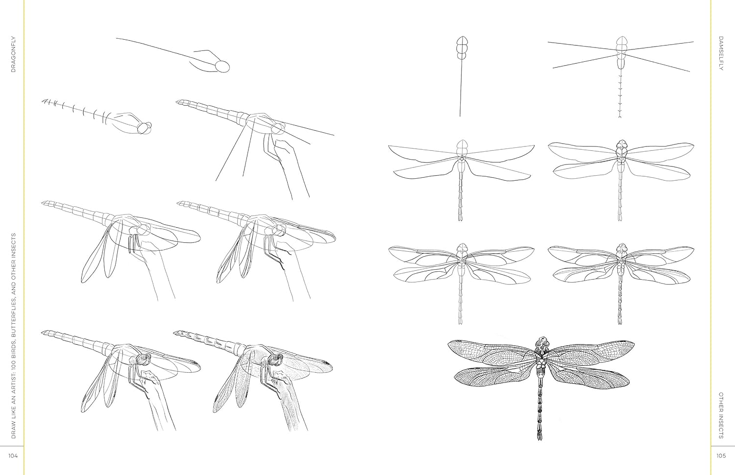 Draw Like An Artist: 100 Birds, Butterflies, & Other Insects - Washburn. Melissa 9781631599477_5_2c5a79ad-fcb2-4e48-b045-035d8a6da724
