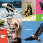 My First 100 Pacific Northwest Words by Little Bigfoot 9781632175007_5