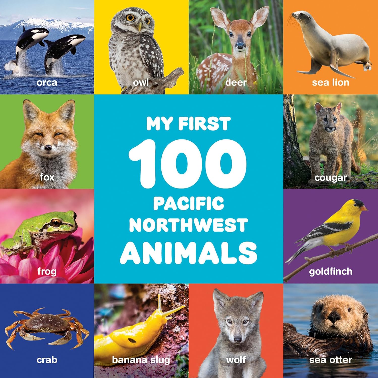 My First 100 Pacific Northwest Animals by Little Bigfoot 9781632175014