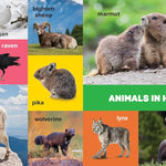 My First 100 Pacific Northwest Animals by Little Bigfoot 9781632175014_1