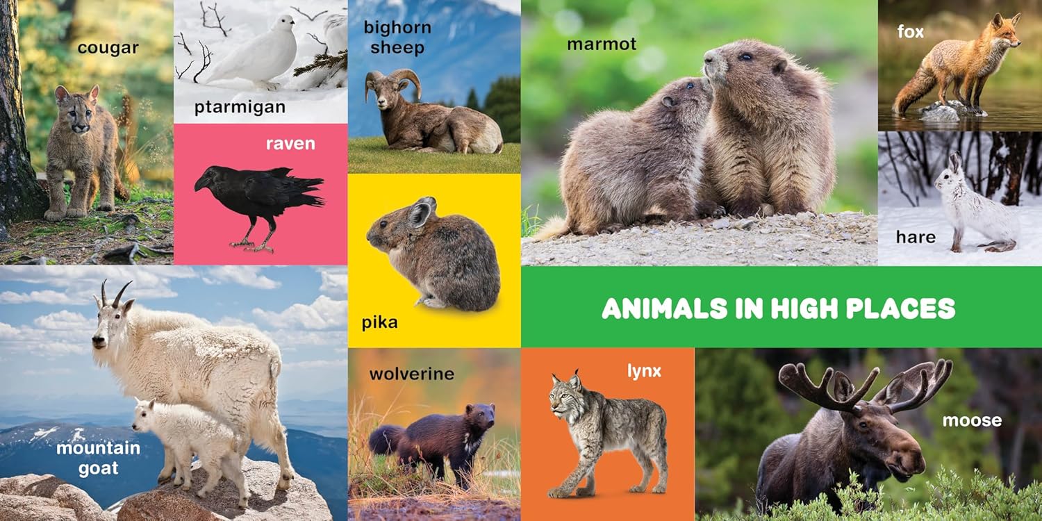My First 100 Pacific Northwest Animals by Little Bigfoot 9781632175014_1