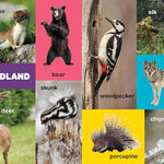 My First 100 Pacific Northwest Animals by Little Bigfoot 9781632175014_2