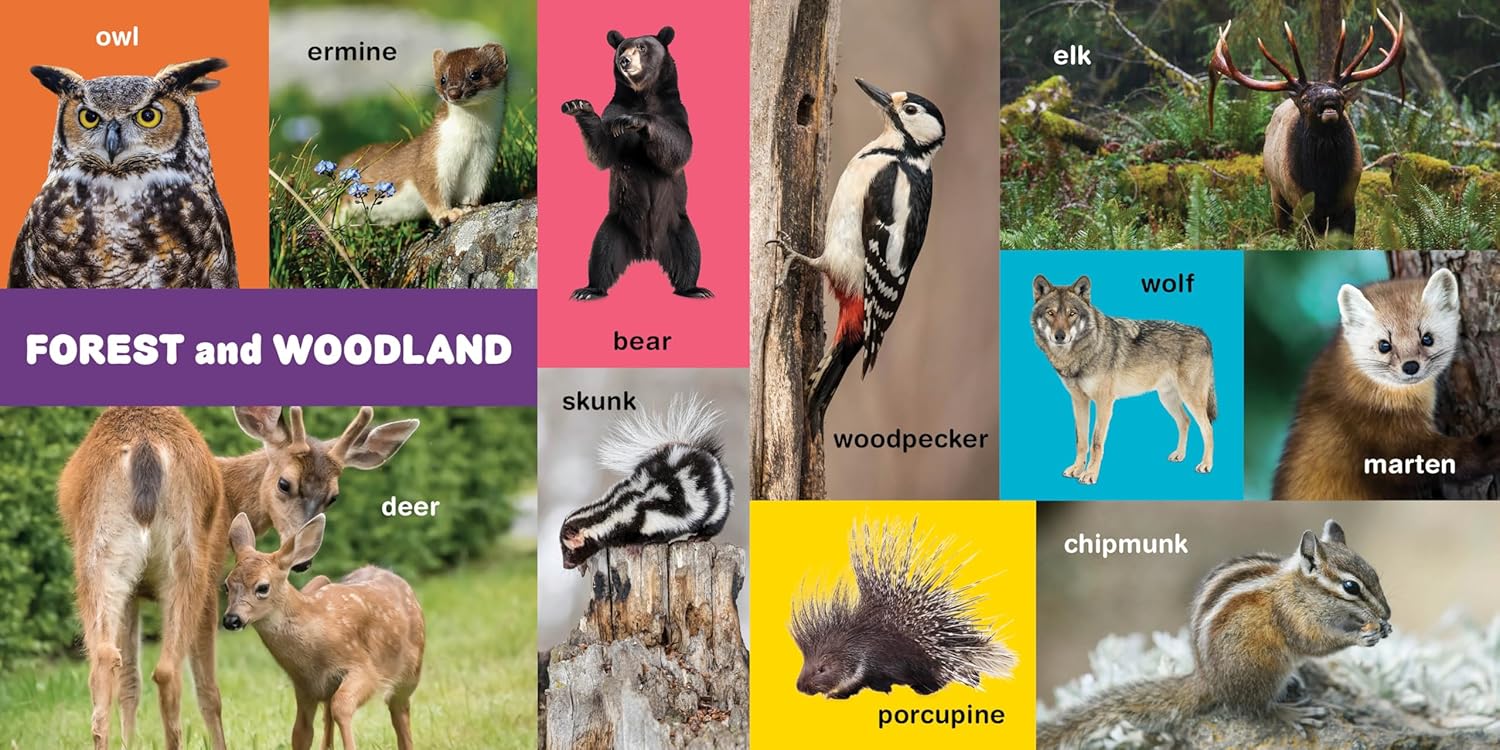 My First 100 Pacific Northwest Animals by Little Bigfoot 9781632175014_2