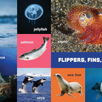 My First 100 Pacific Northwest Animals by Little Bigfoot 9781632175014_3