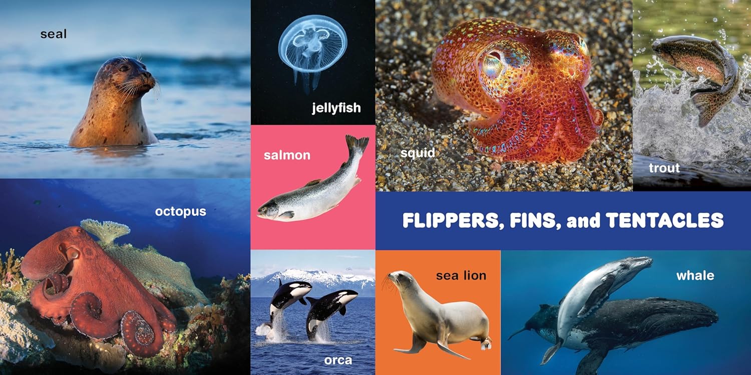 My First 100 Pacific Northwest Animals by Little Bigfoot 9781632175014_3