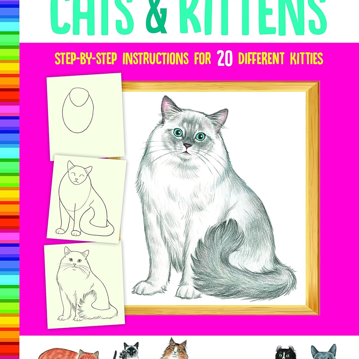 How To Draw Cats & Kittens - Fisher. Diana 9781633227446_11470284-f5b9-4094-b176-d11d5e769fc2