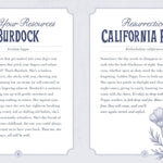 The Illustrated Herbiary Oracle Cards by Toll. Maia 9781635864854_9