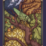 The Illustrated Beastiary Oracle Cards by Toll. Maia; O'Hara. Kate 9781635864861_6