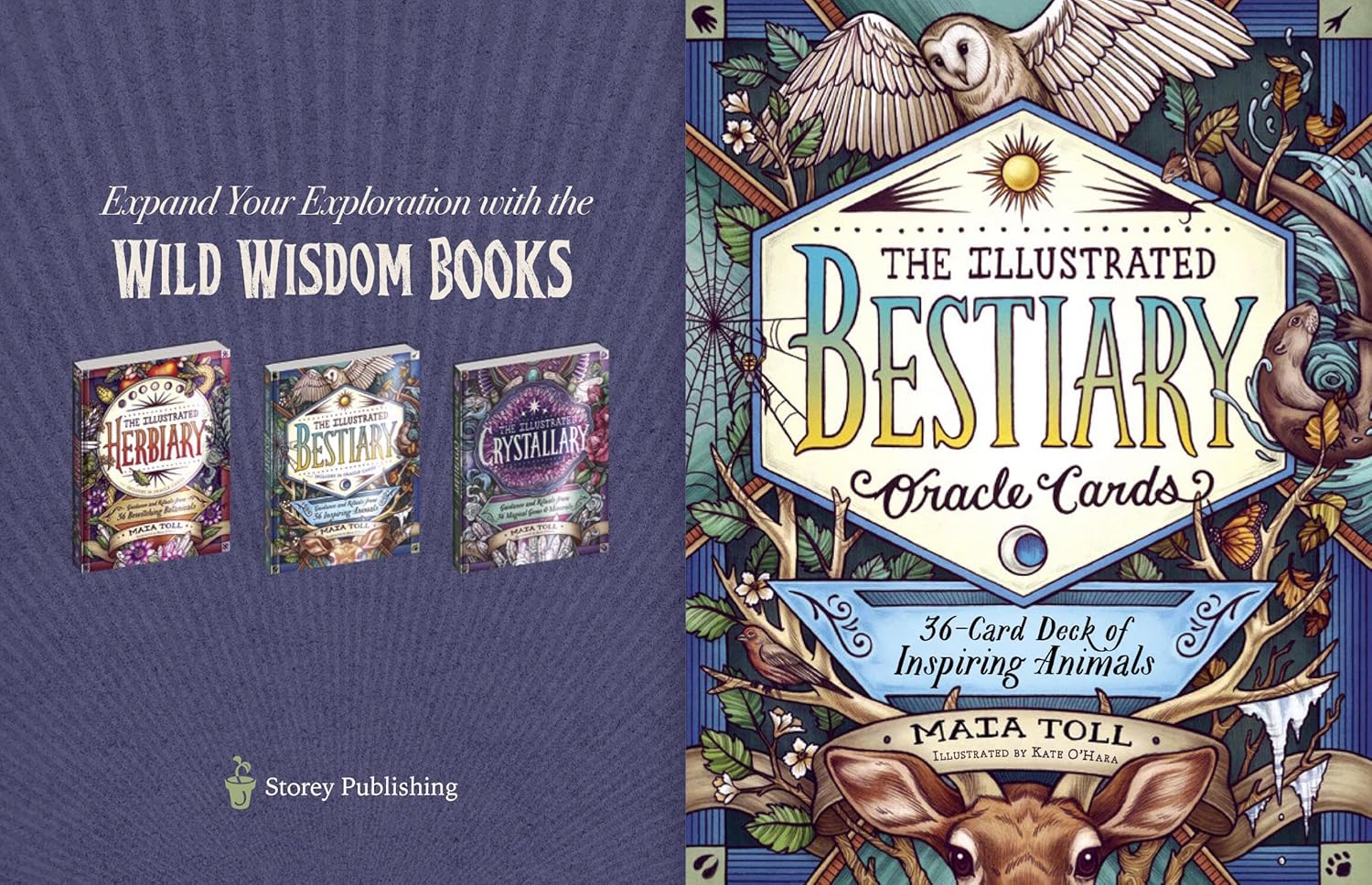 The Illustrated Beastiary Oracle Cards by Toll. Maia; O'Hara. Kate 9781635864861_8
