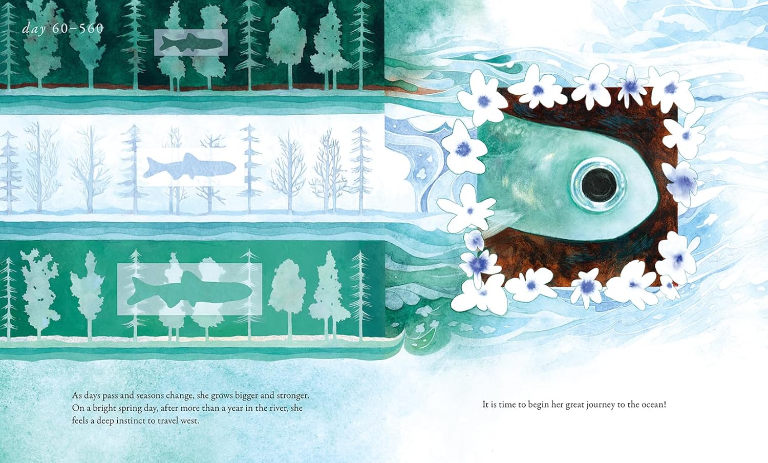 Salmon Run: An Epic Journey To The Ocean And Back by Chen. Annie 9781636551654_4