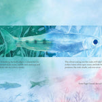 Salmon Run: An Epic Journey To The Ocean And Back by Chen. Annie 9781636551654_5