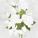 Vintage: Flowers (Sticker-By-Number) by Brain Games 20 9781639382309_1