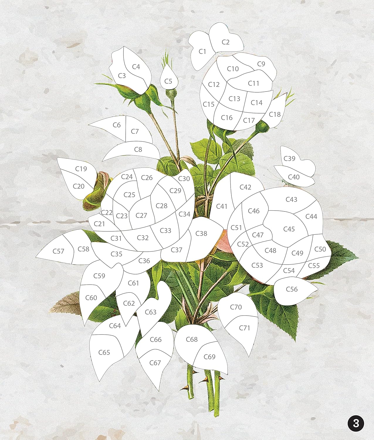 Vintage: Flowers (Sticker-By-Number) by Brain Games 20 9781639382309_1