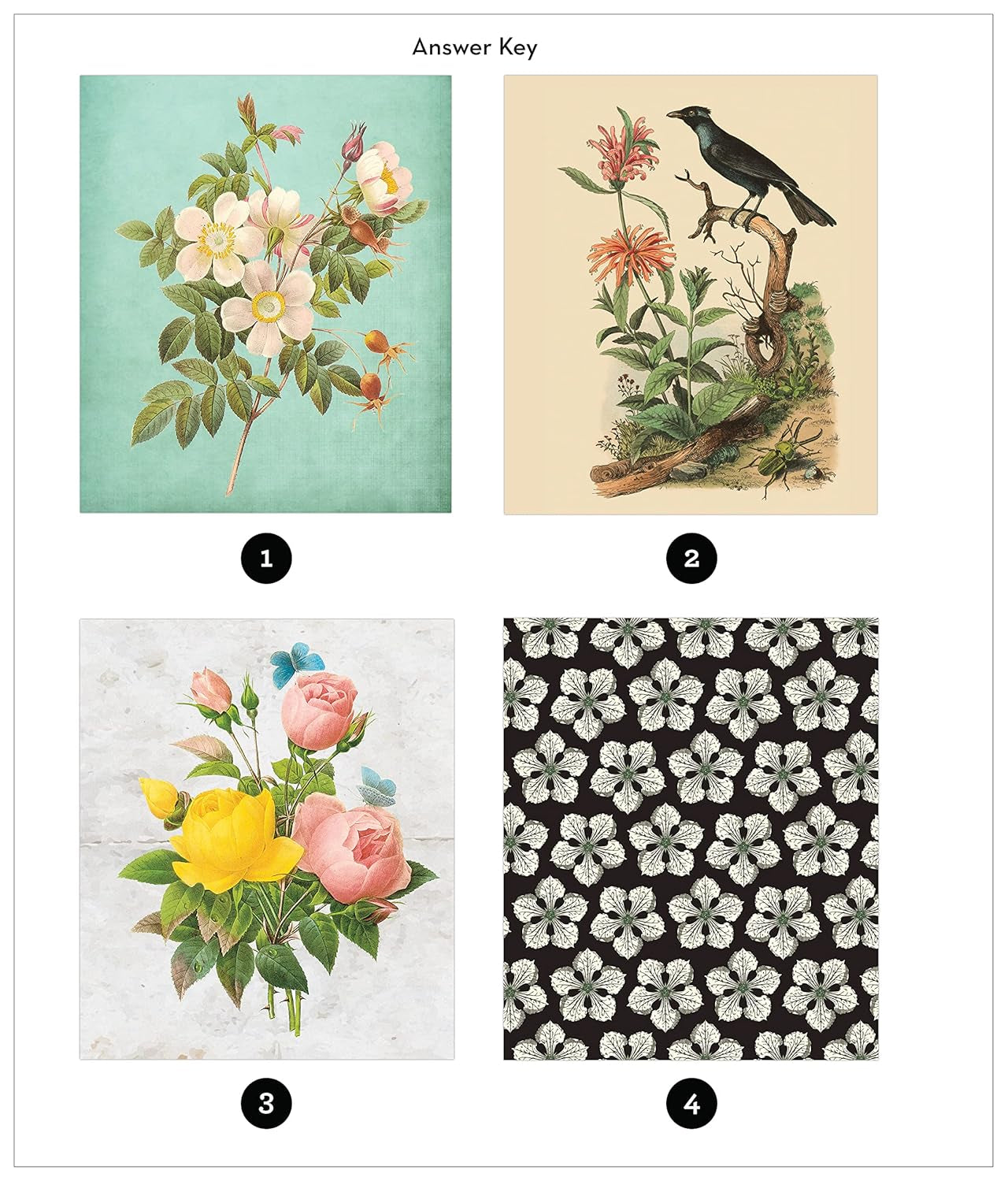 Vintage: Flowers (Sticker-By-Number) by Brain Games 20 9781639382309_4