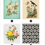 Vintage: Flowers (Sticker-By-Number) by Brain Games 20 9781639382309_4