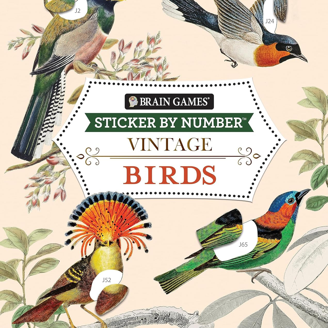 Vintage: Birds (Sticker-By-Number) by Brain Games 20 9781639384204