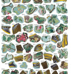 Vintage: Birds (Sticker-By-Number) by Brain Games 20 9781639384204_2