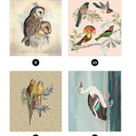 Vintage: Birds (Sticker-By-Number) by Brain Games 20 9781639384204_3