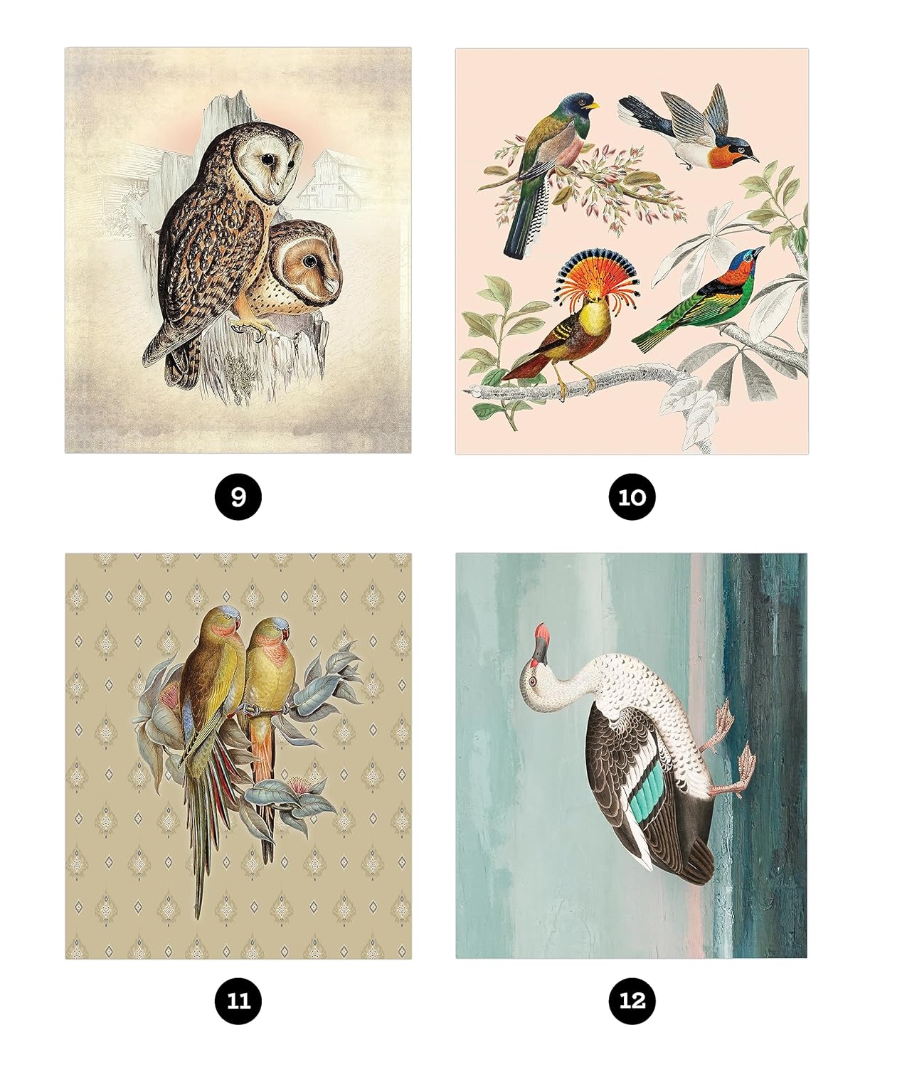 Vintage: Birds (Sticker-By-Number) by Brain Games 20 9781639384204_3