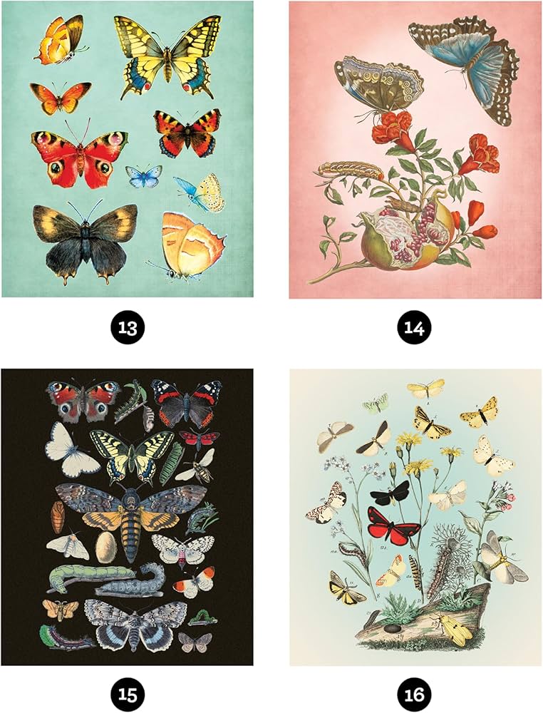 Vintage: Butterflies (Sticker-By-Number) by Brain Games 20 9781639384778_77b1b435-0650-4598-b75c-6e1272d2ea85