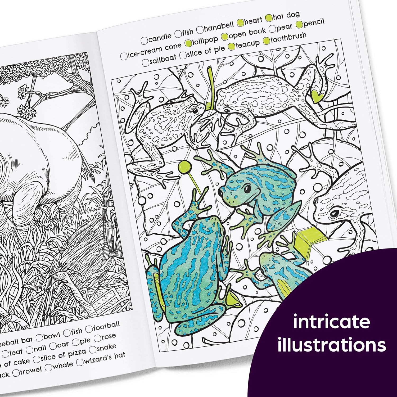 Hidden In Nature: A Cozy Hidden Picture Coloring Book For Adults by Highlights 9781639623358_5