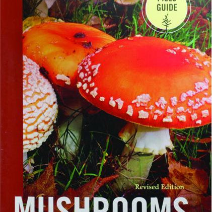 Mushrooms Of The Pacific Northwest by Trudell. Steve 9781643260860