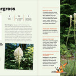 Wildflowers Of The Pacific Northwest For Kids by Erdely. Ashley 9781643264349_4