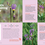 Wildflowers Of The Pacific Northwest For Kids by Erdely. Ashley 9781643264349_6