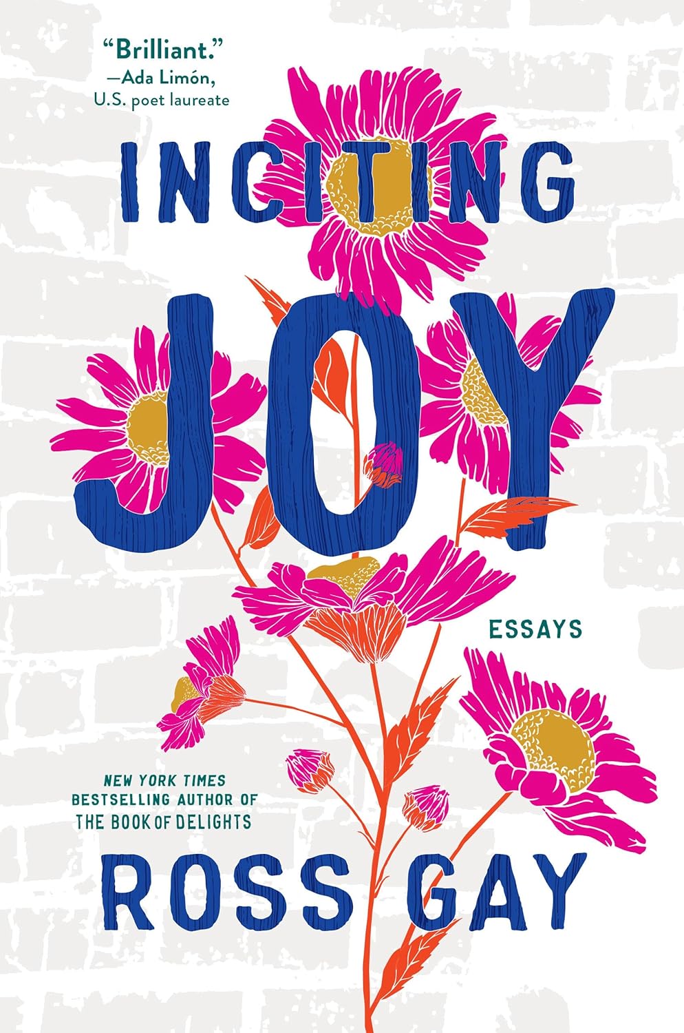 Inciting Joy: Essays by Gay. Ross 9781643753959
