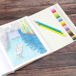 Large Print Calm Color-By-Number by Thunder Bay Press 20 9781645174042_1