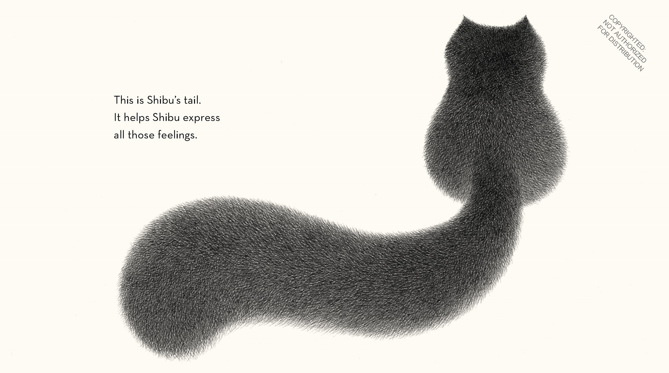 Shibu's Tail by Thomas. Tess, Illustrated by Fong. Kamwei 20 9781646145737_4