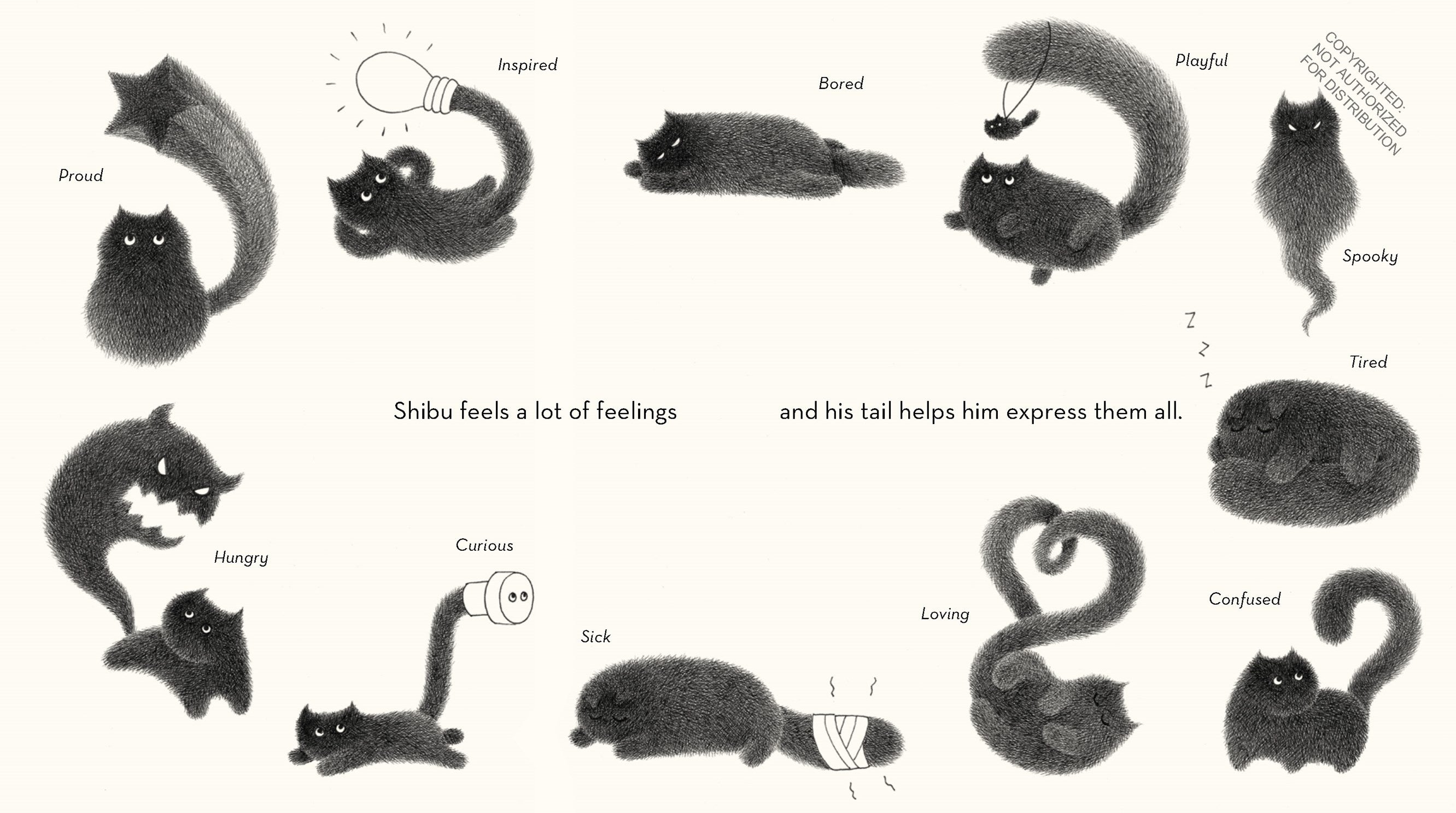 Shibu's Tail by Thomas. Tess, Illustrated by Fong. Kamwei 20 9781646145737_5