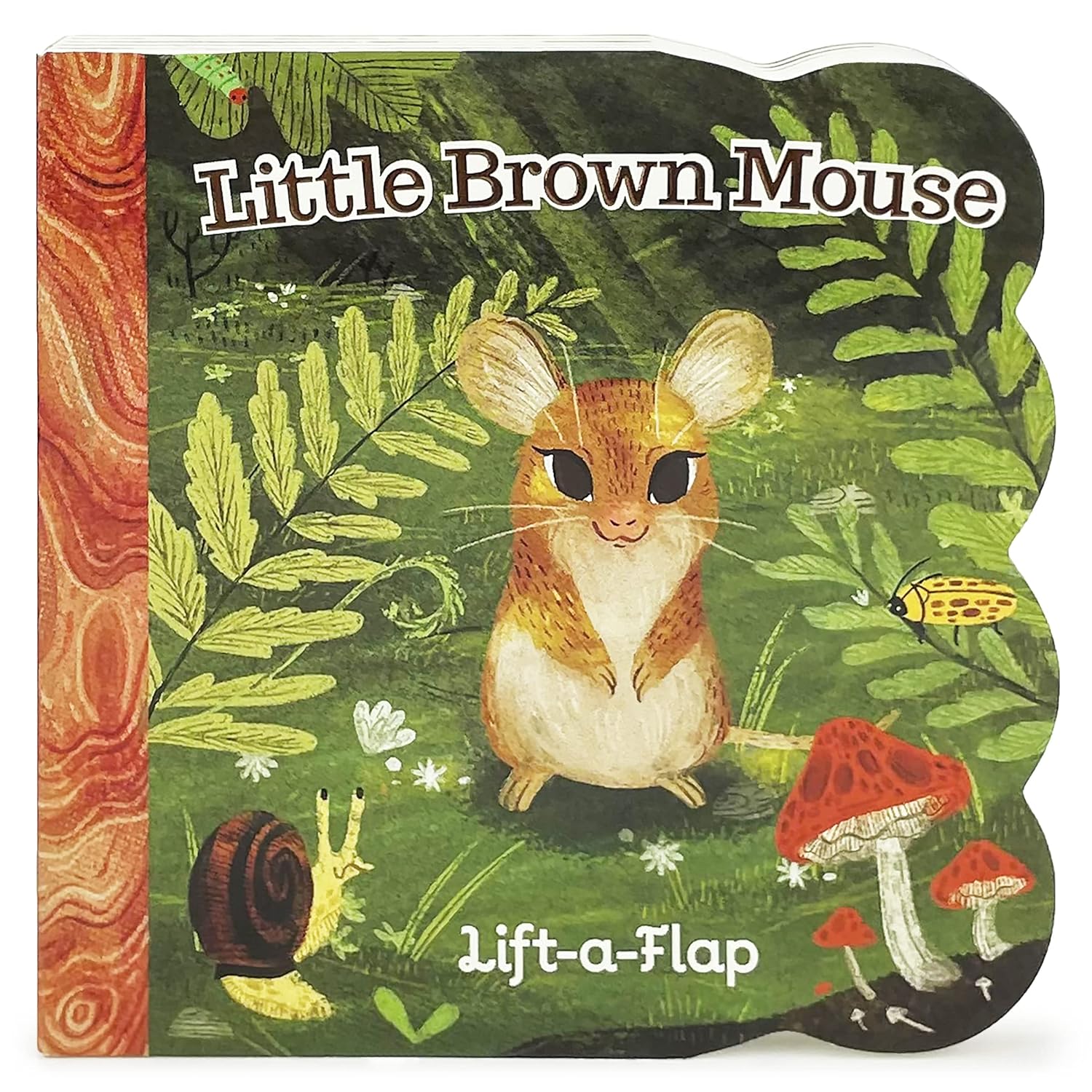 Little Brown Mouse by Swift. Ginger; Samels. Riley 20 9781646383313