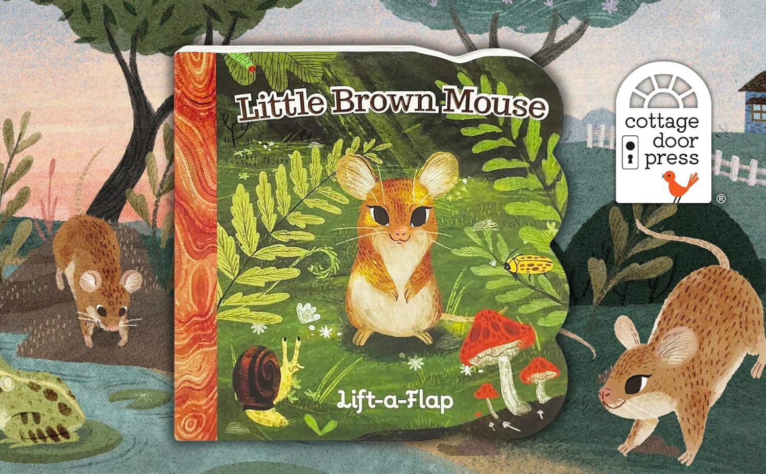 Little Brown Mouse by Swift. Ginger; Samels. Riley 20 9781646383313_1