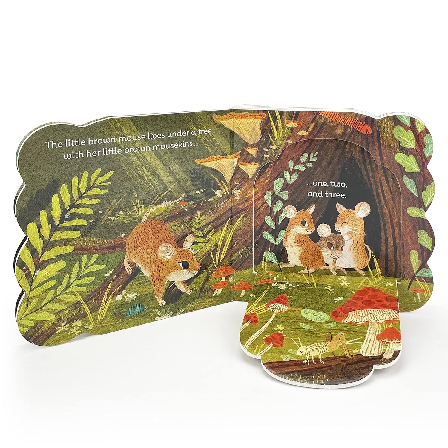 Little Brown Mouse by Swift. Ginger; Samels. Riley 20 9781646383313_5