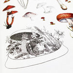Sticker Emporium: Woodlandia by Parragon Books 9781646389155_2