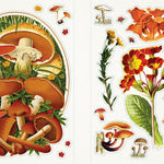 Sticker Emporium: Woodlandia by Parragon Books 9781646389155_4