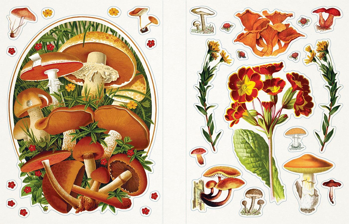 Sticker Emporium: Woodlandia by Parragon Books 9781646389155_4