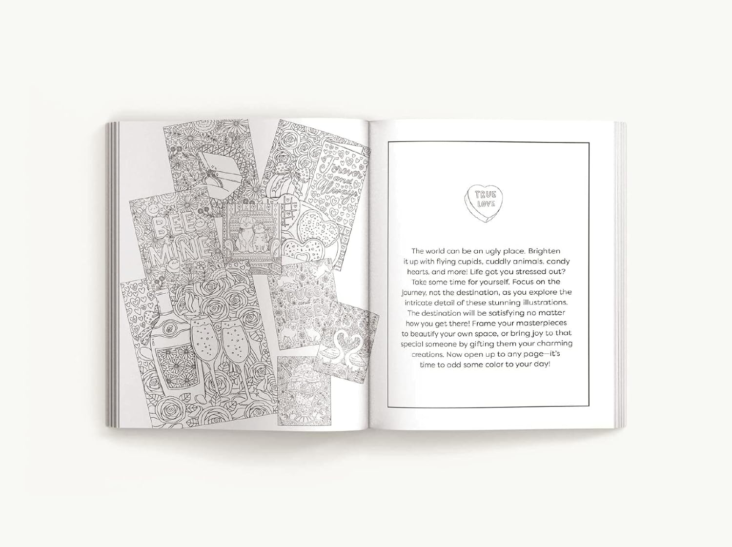 Color Me Love: A Valentine's Day Coloring Book by Editors Of Cider Mill Press 9781646433032_3