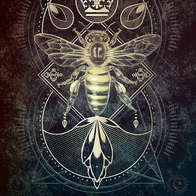 Talisman Oracle by Paskaleva. Nora 9781646711284