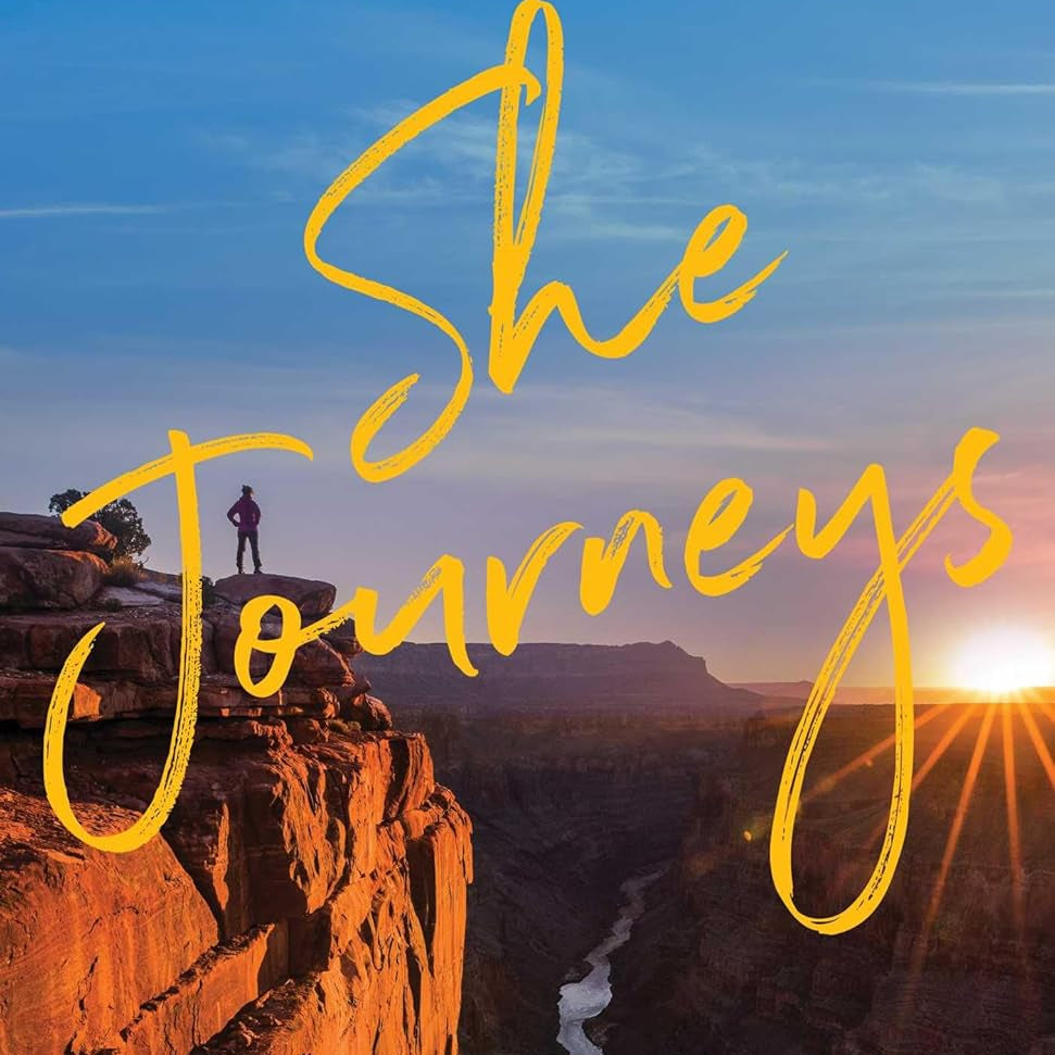 She Journeys: A Memoir Of Heartbreak And Homecoming by May. Sarah 9781647429621