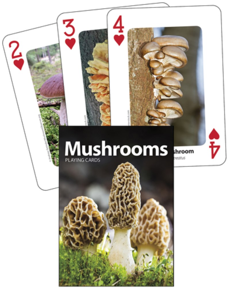Mushrooms Playing Cards from Adventure Publications 80 9781647550493
