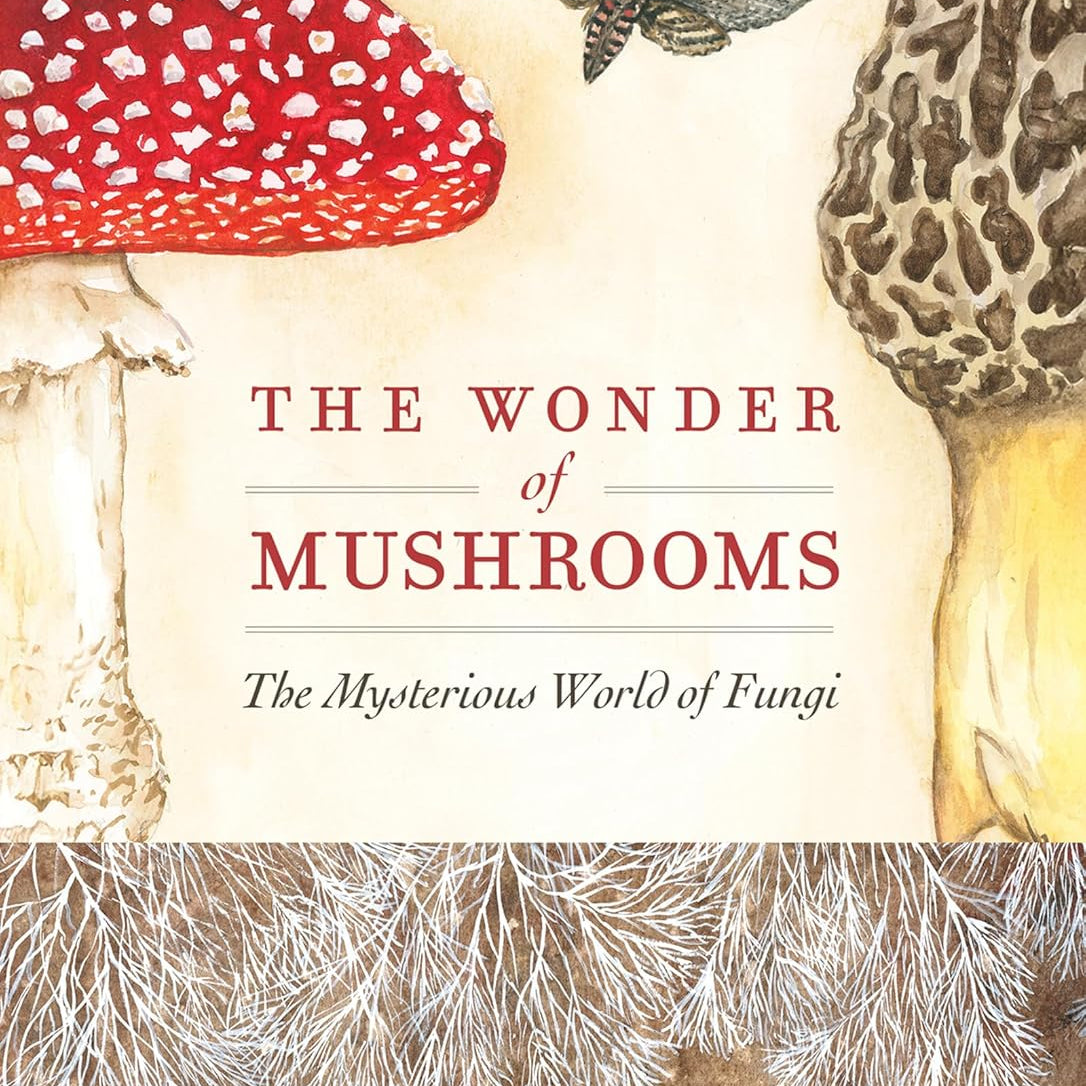 The Wonder Of Mushrooms: The Mysterious World Of Fungi by Zeller. Maya Jewell 9781647554668