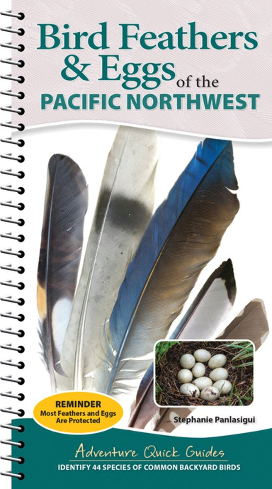Bird Feathers and Eggs of the Pacific Northwest by Panlasigui. Stephanie 20 9781647556648