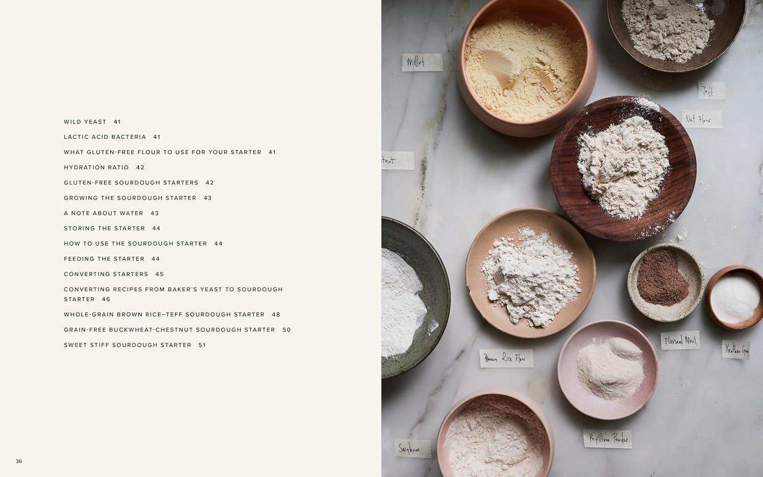 The Art Of Gluten-Free Bread by Goyoaga. Aran 9781648292026_5