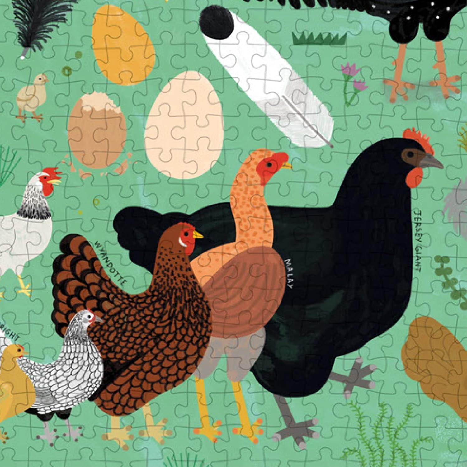 Chickenology 1000 Piece Jigsaw Puzzle - Johnson. Mia; Pintonato. Camilla 9781648961403_2