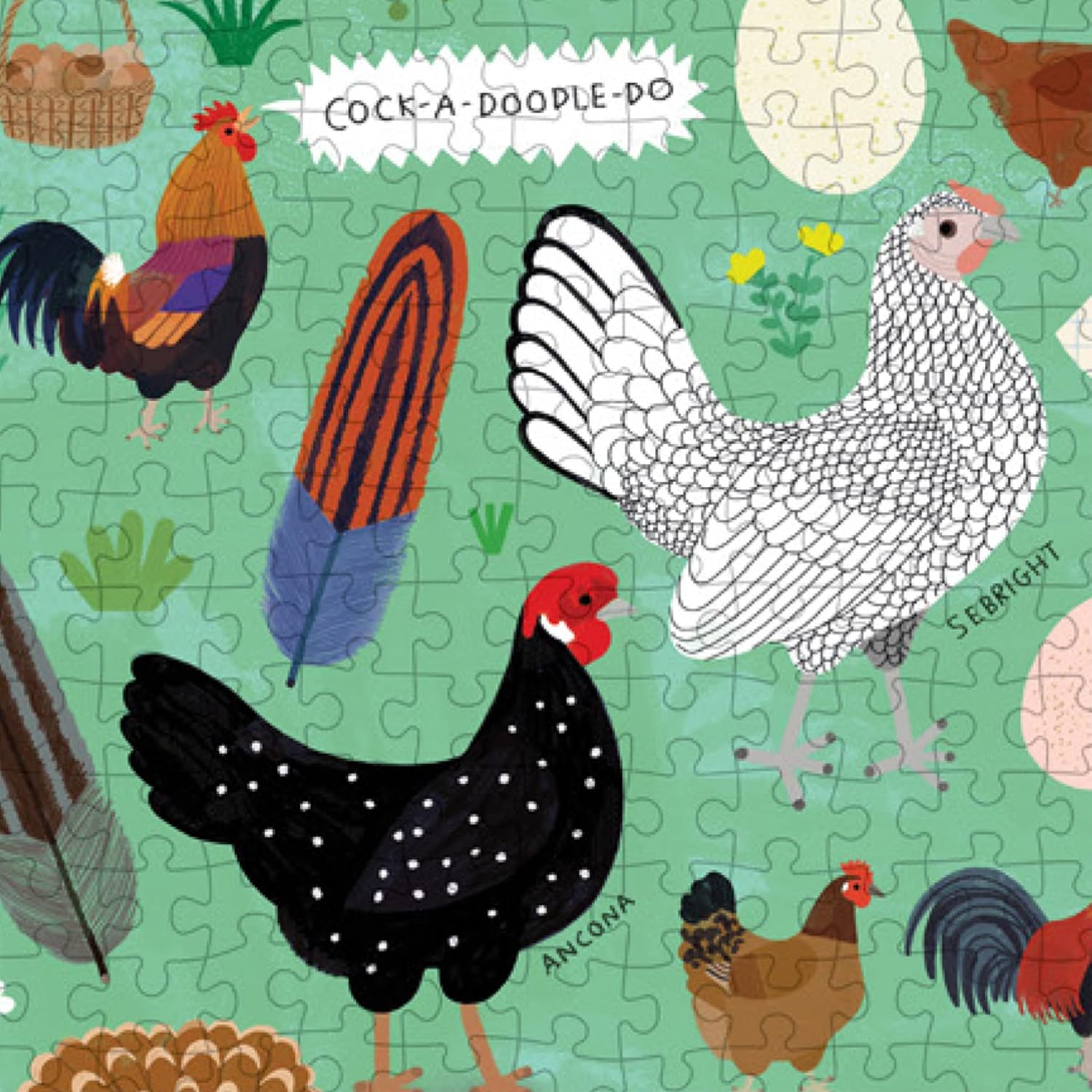Chickenology 1000 Piece Jigsaw Puzzle - Johnson. Mia; Pintonato. Camilla 9781648961403_3