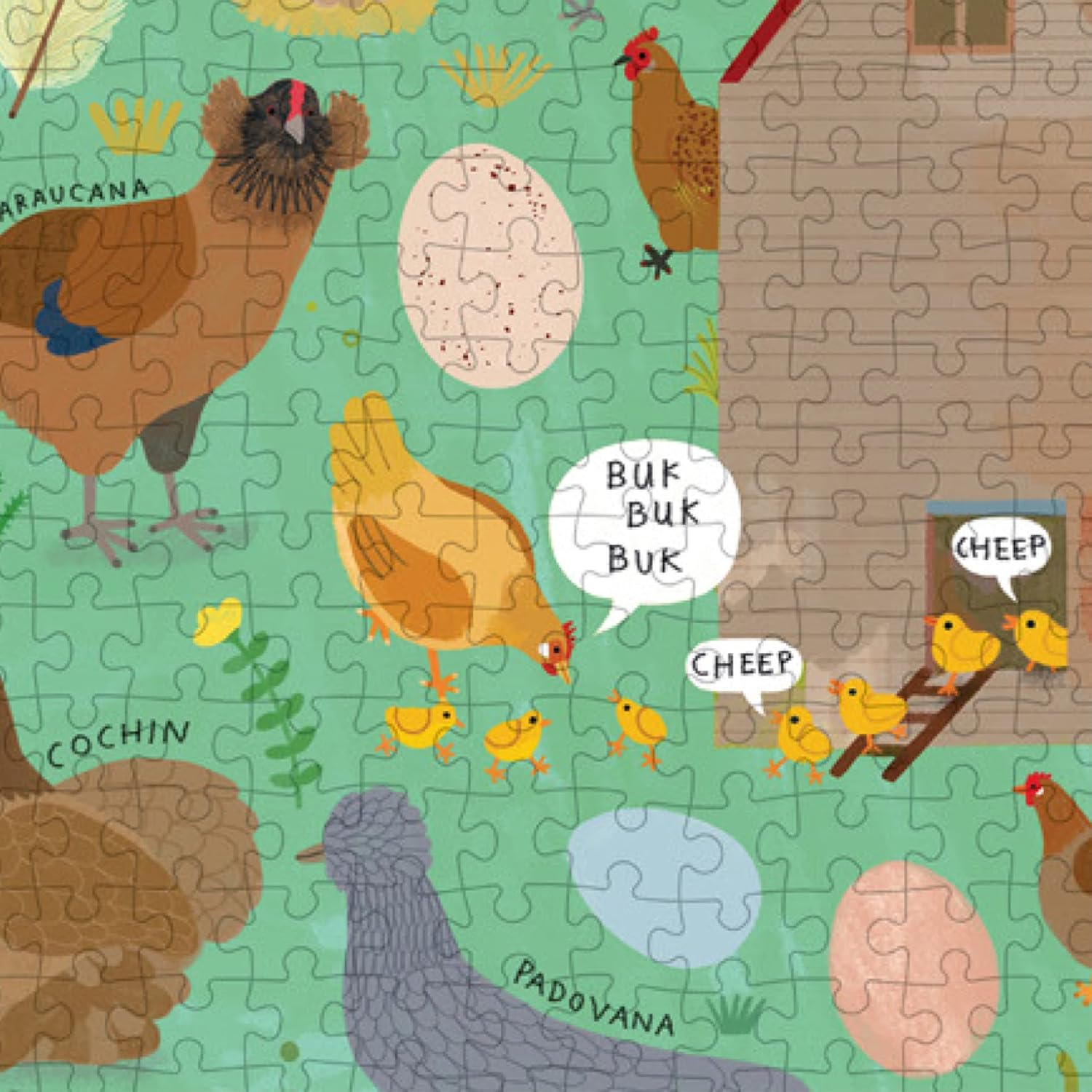 Chickenology 1000 Piece Jigsaw Puzzle - Johnson. Mia; Pintonato. Camilla 9781648961403_4