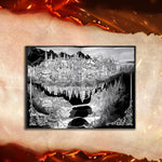 Dragon Cursed by Kova. Elise 20 9781649377838_3